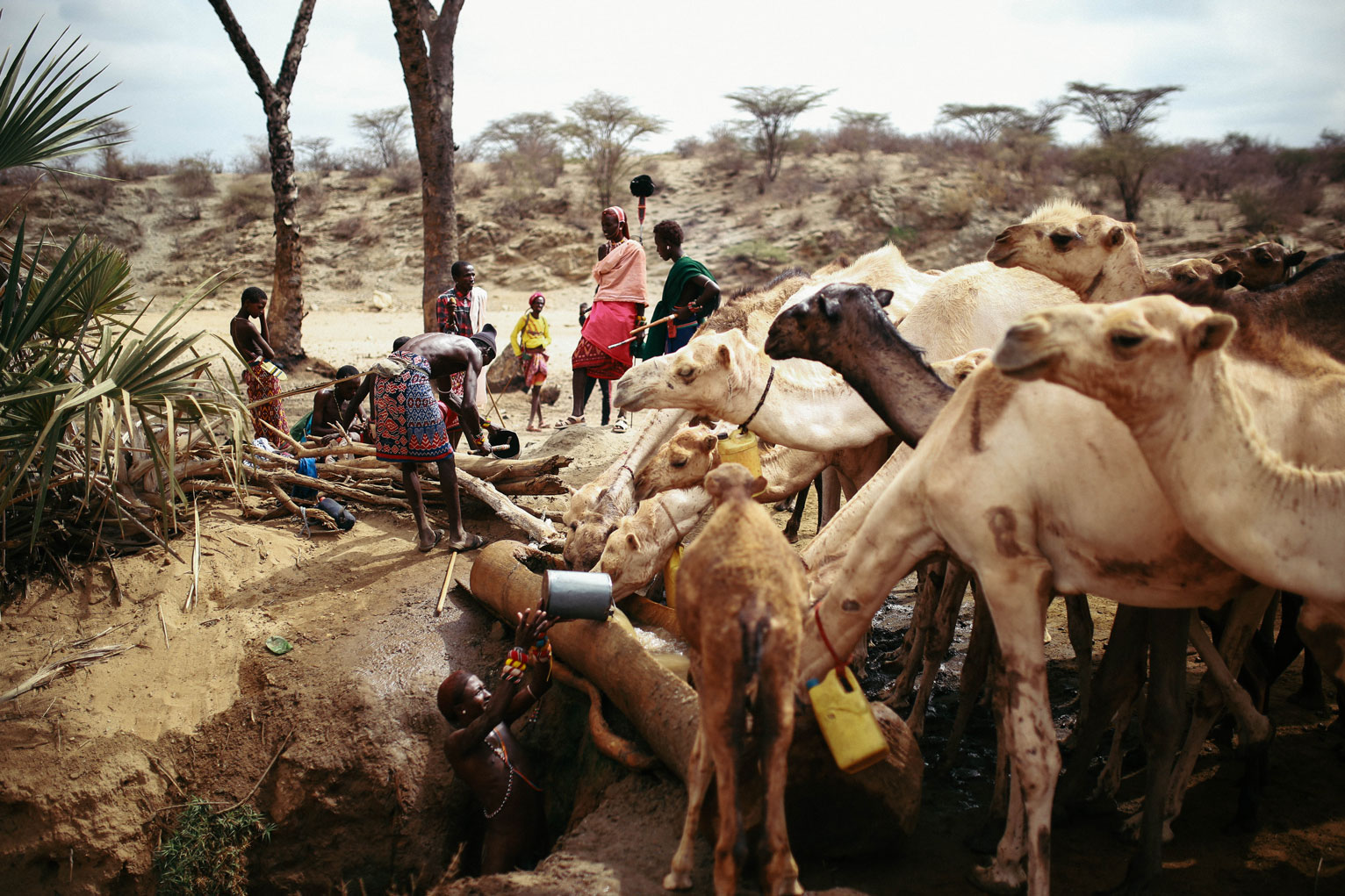 East Africa’s Worst Drought in 40 Years Is Threatening Countries’ Future