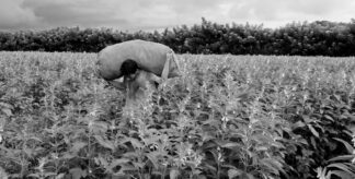 The Long Journey North From Guatemala