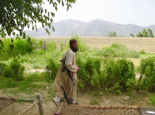 In a Former al Qaeda Redoubt, Afghans Take On the Taliban and ISIS
