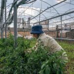 Israel’s Polluting West Bank Factories