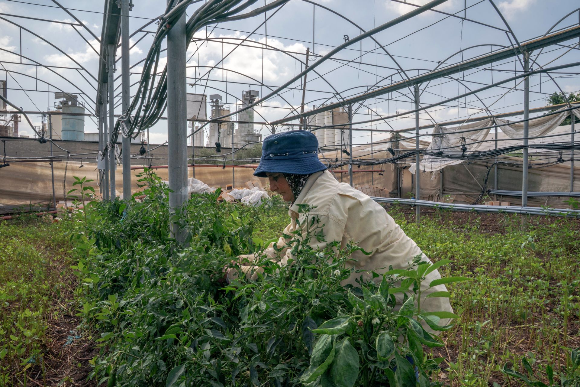 Israel’s Polluting West Bank Factories