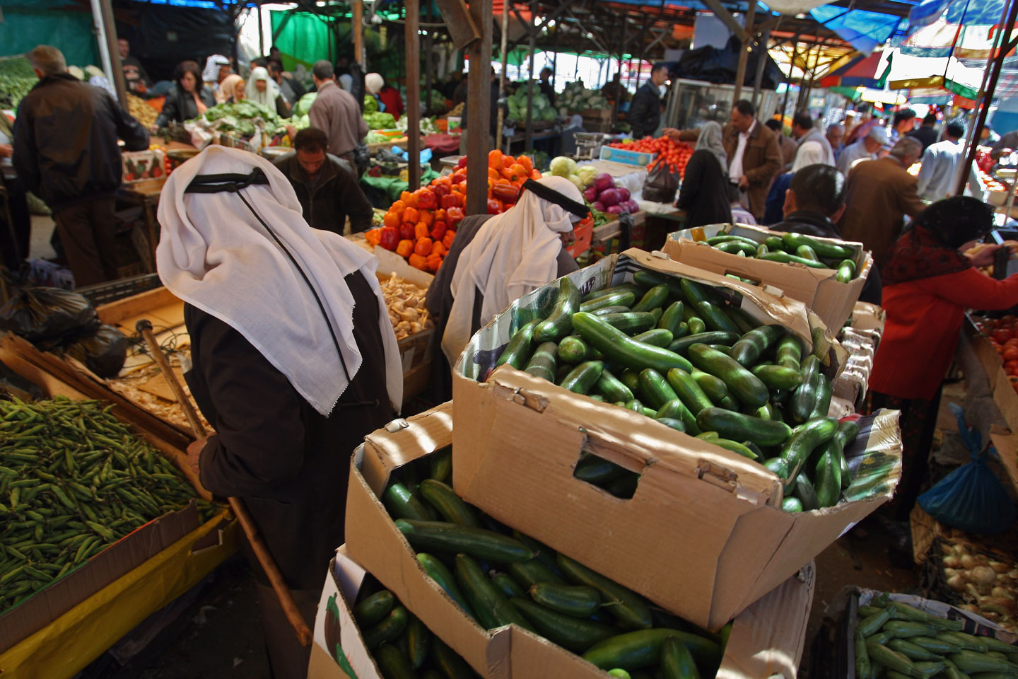 In the West Bank, Plants Are Political