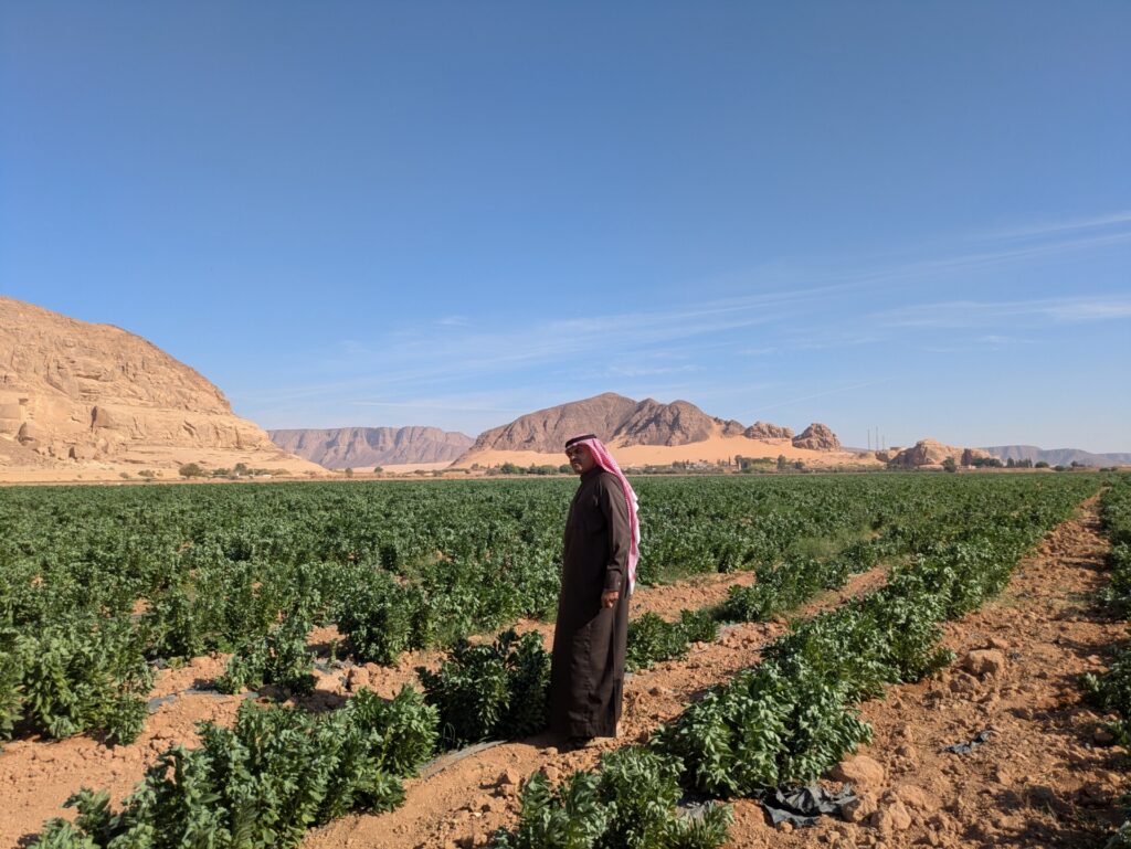 Water Scarcity in Jordan Is Causing an Agricultural Crisis