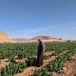 Water Scarcity in Jordan Is Causing an Agricultural Crisis