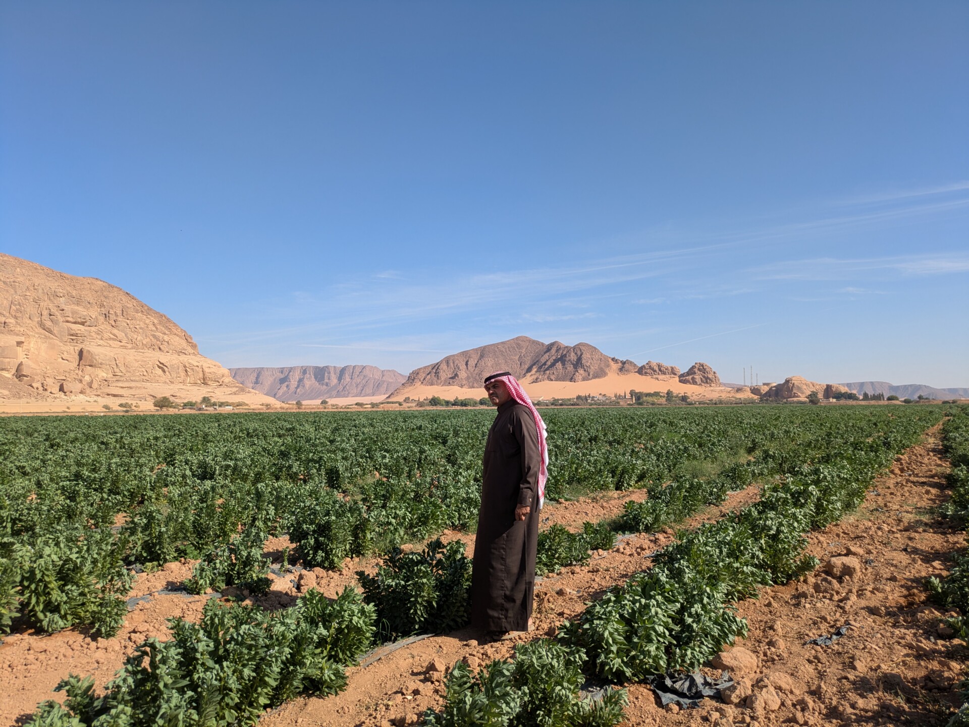 Water Scarcity in Jordan Is Causing an Agricultural Crisis