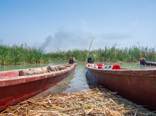 Iraq’s Marshes Parched as Government Focuses on Oil