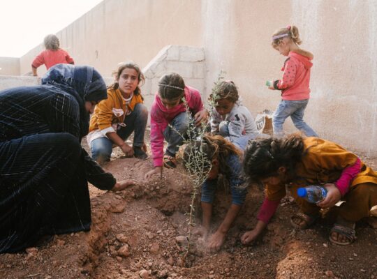 Replanting Syria’s Lost Heritage