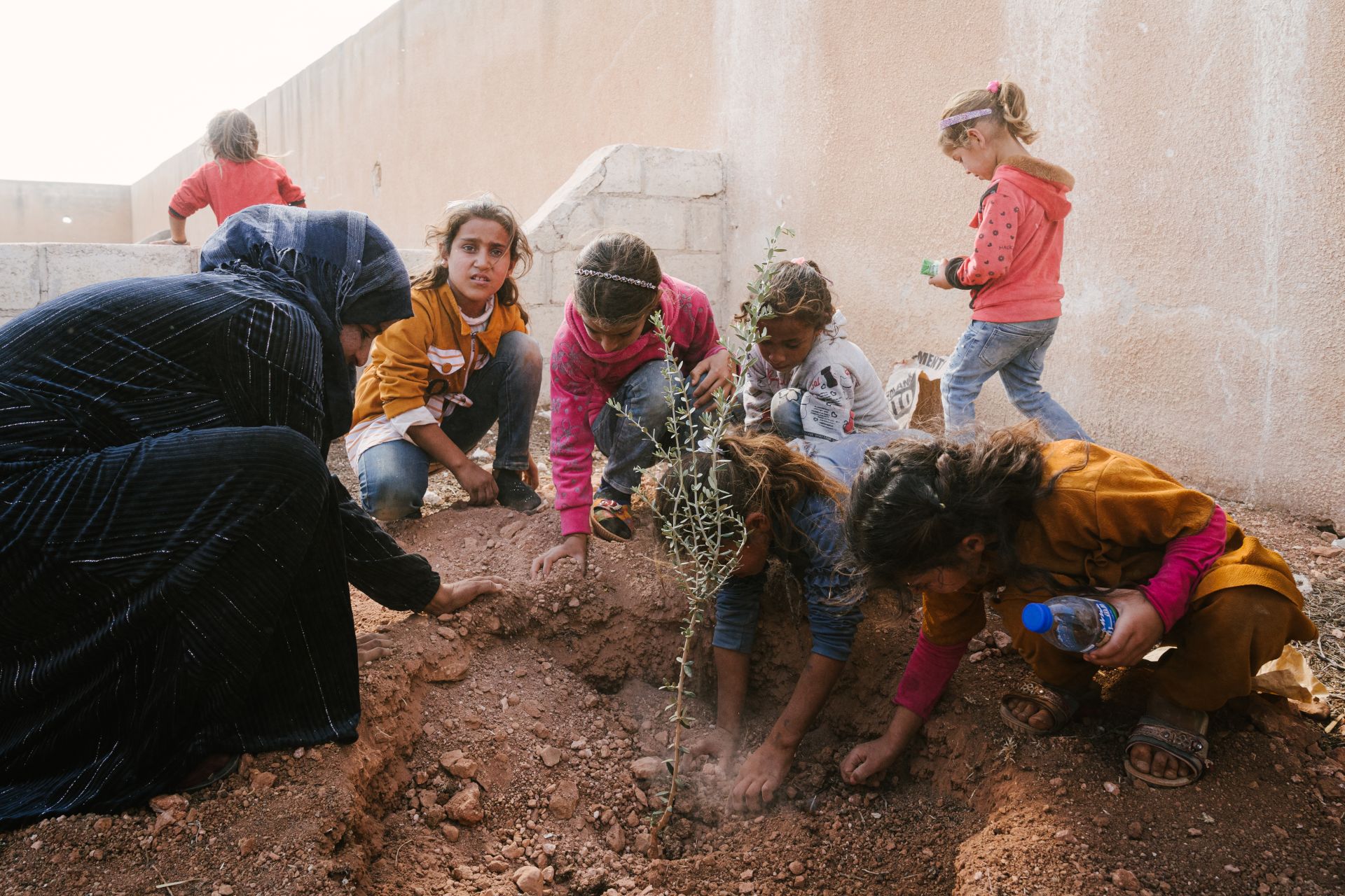 Replanting Syria’s Lost Heritage