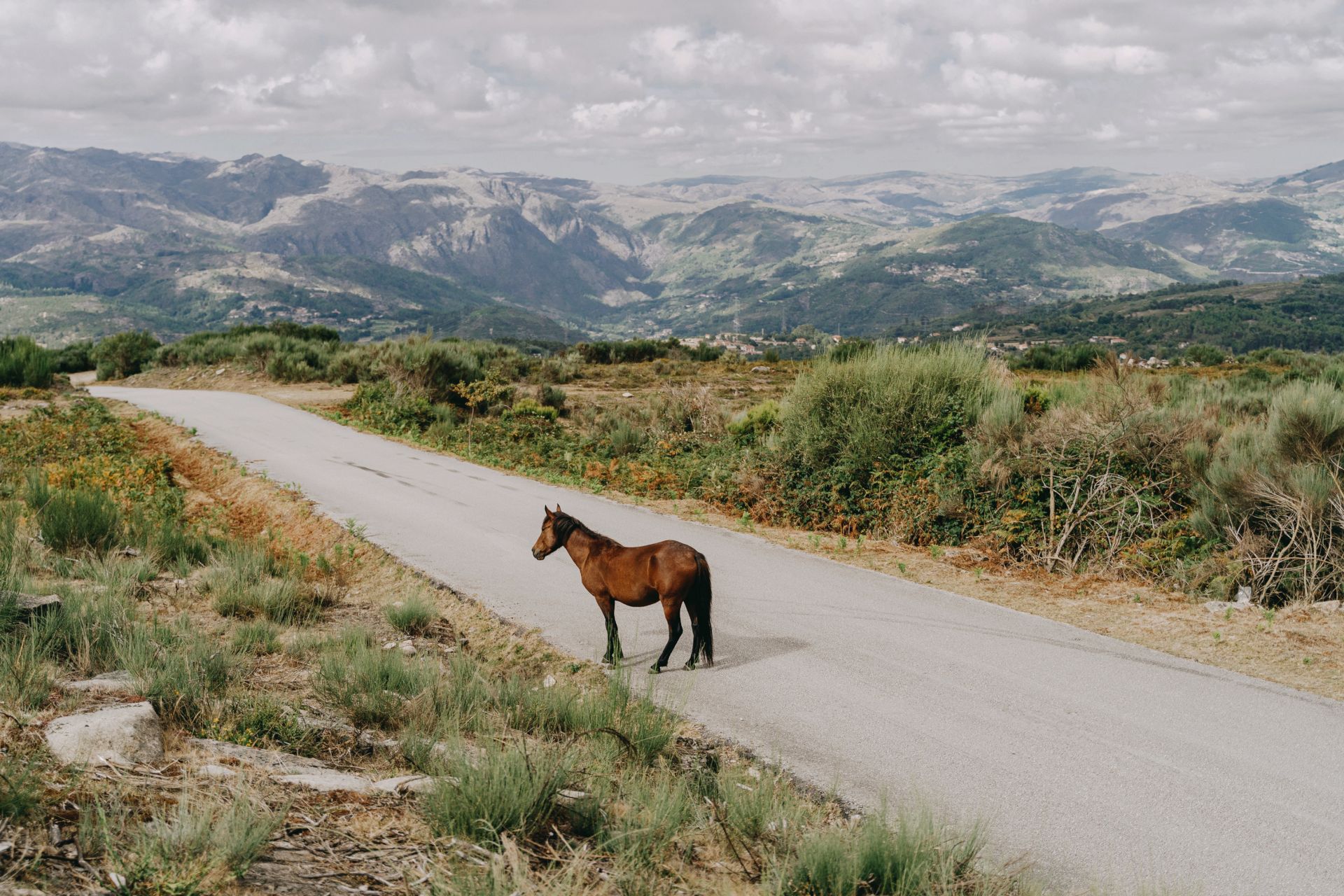 In Portugal’s Rural North, Communities Are Resisting Lithium Mining