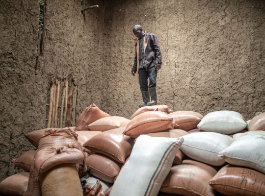 From Band Aid to Breadbasket: Ethiopia’s Struggle To Rewrite Its Story of Hunger