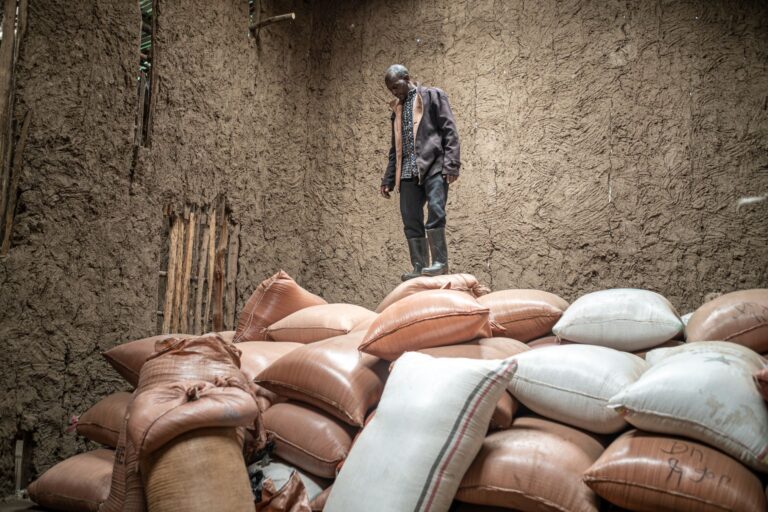 From Band Aid to Breadbasket: Ethiopia’s Struggle To Rewrite Its Story of Hunger