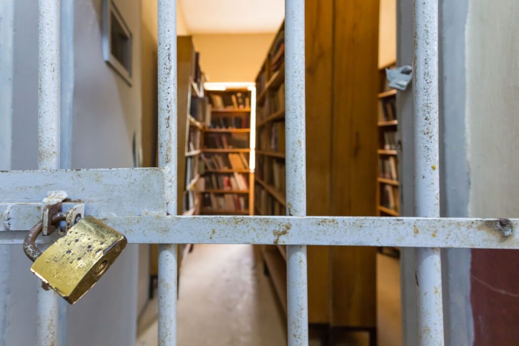 A Novel Solution for Improving the US Prison System