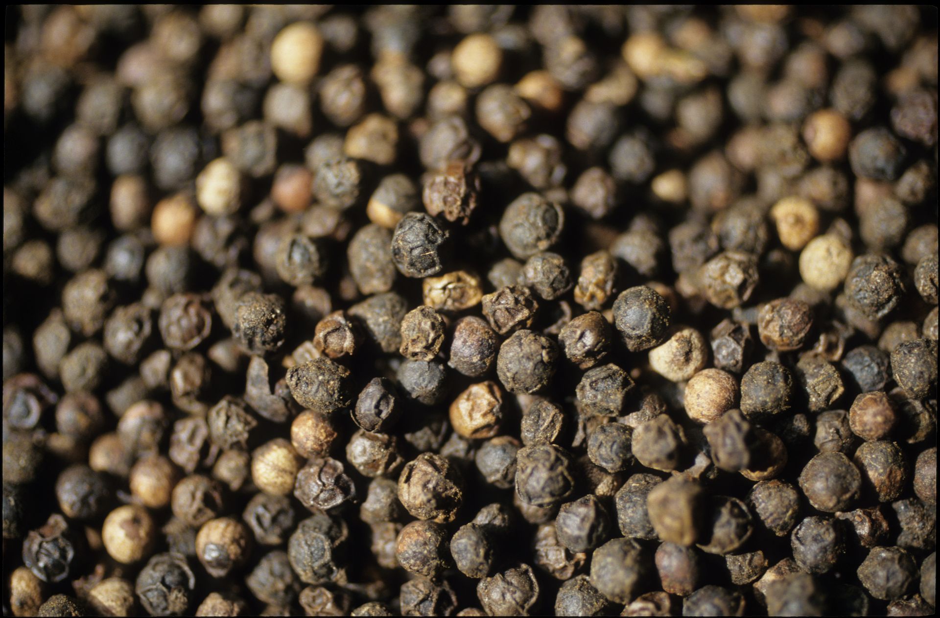 A Story of Pepper, the World’s Most Important and Underappreciated Spice