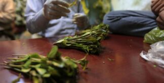 Qat’s Vicious Environmental Cycle