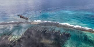 How an Ecological Disaster in Mauritius Awakened a People