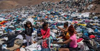 Shein Is Booming in Argentina