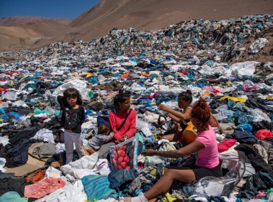 Shein Is Booming in Argentina