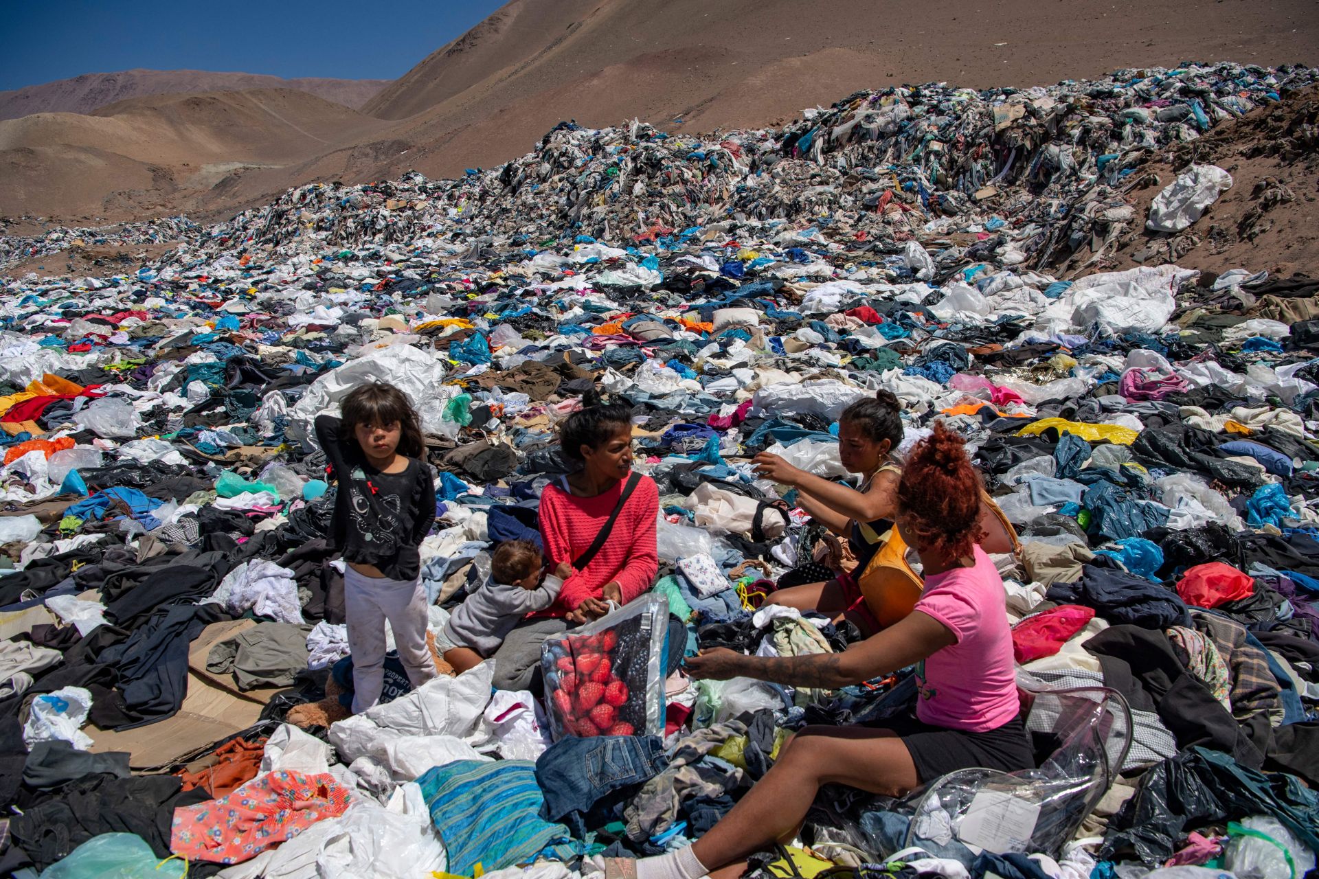 Shein Is Booming in Argentina