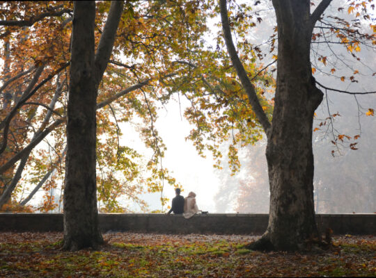 A New Book Tells Stories of Love and Longing Under Lockdown in Kashmir