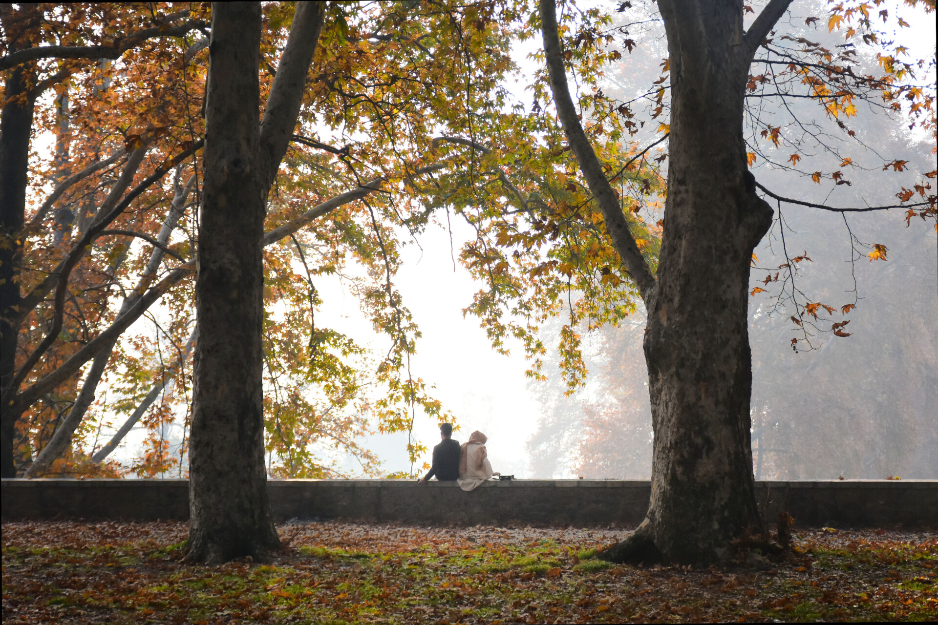 A New Book Tells Stories of Love and Longing Under Lockdown in Kashmir