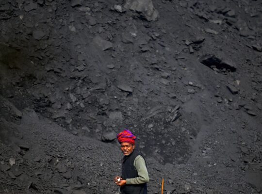 Inside India’s Greenwashing Eco Parks