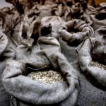 How Israel-Backed Sweida Became Syria’s Narcotics Capital