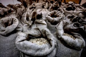 How Israel-Backed Sweida Became Syria’s Narcotics Capital
