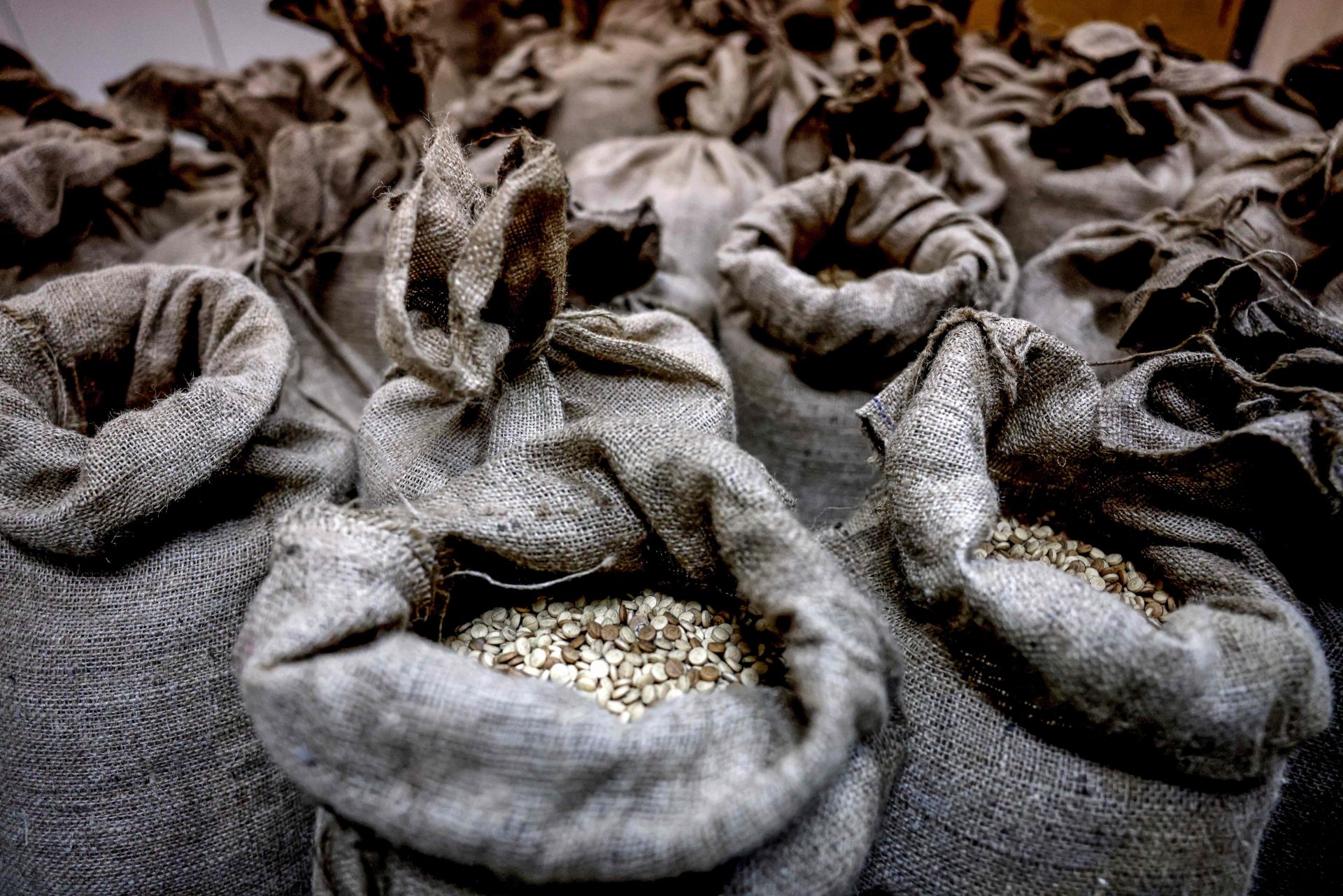 How Israel-Backed Sweida Became Syria’s Narcotics Capital