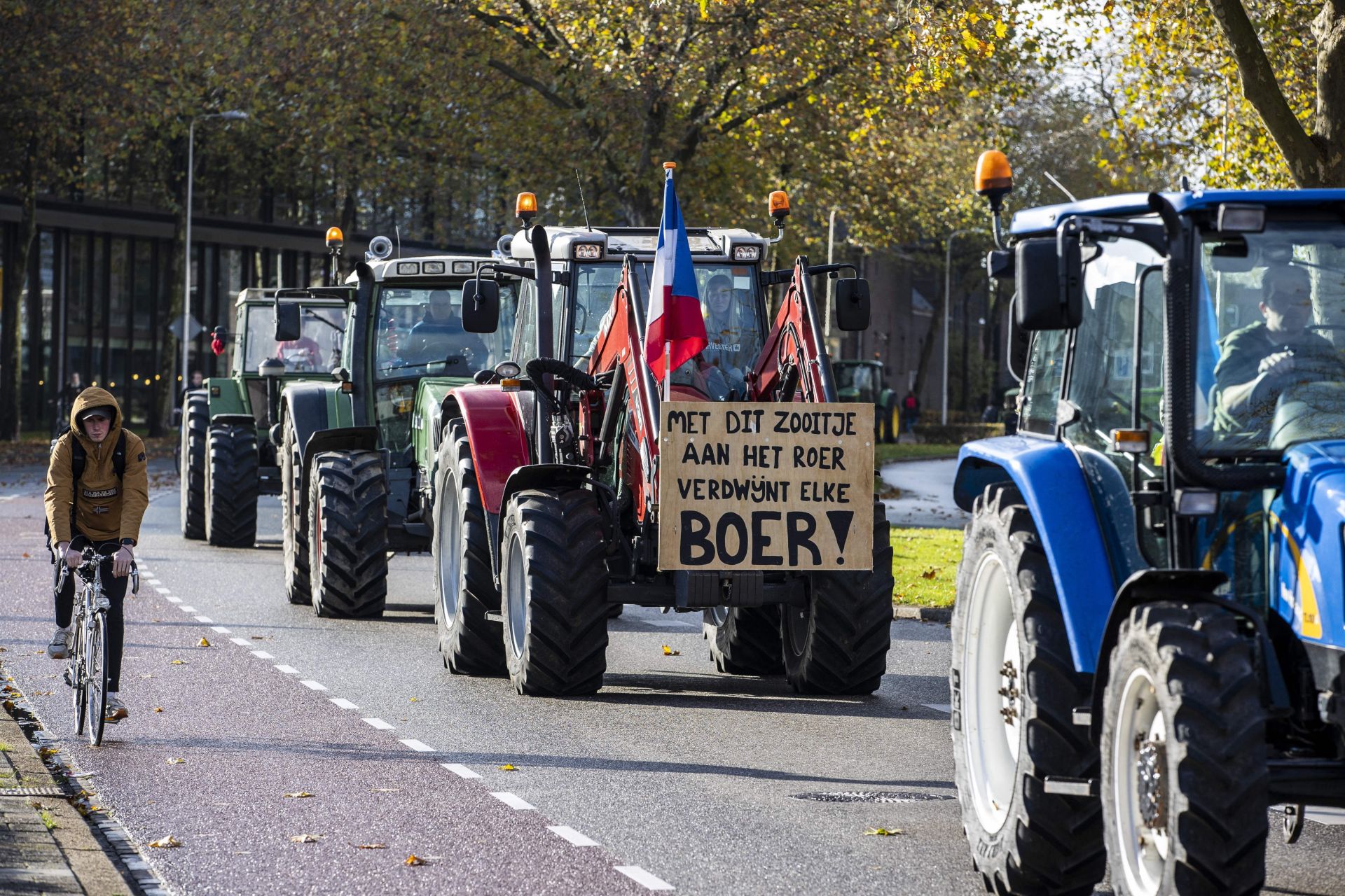 How Disgruntled Farmers Uprooted Dutch Politics