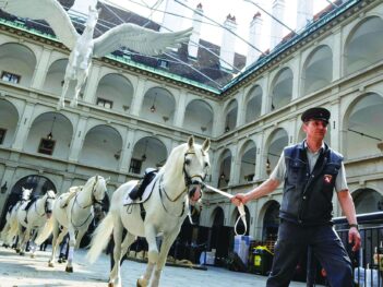 Are Vienna’s Dancing Horses Worth Saving?