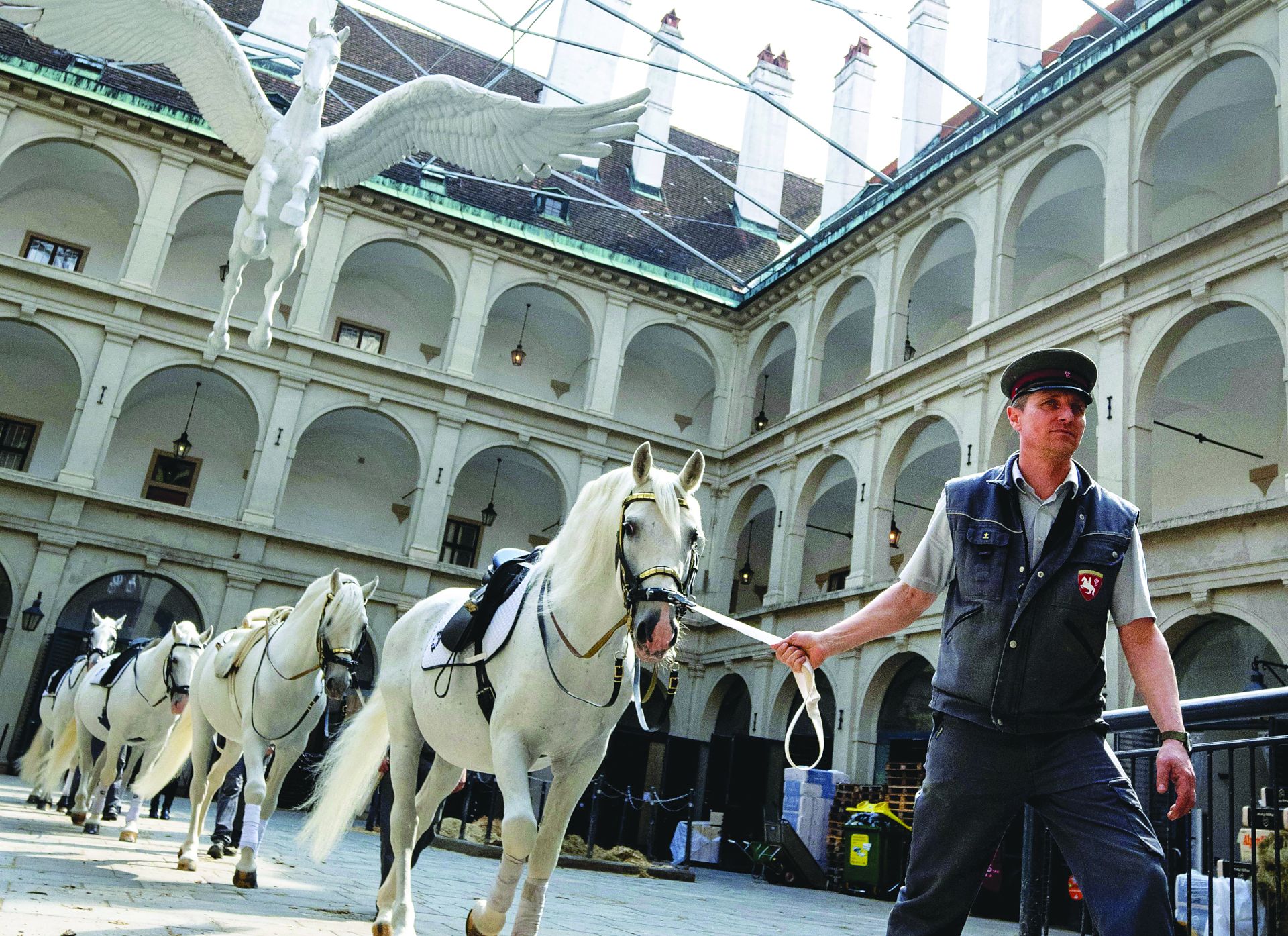 Are Vienna’s Dancing Horses Worth Saving?