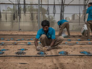 The Limits of the UAE’s Push for Food Security