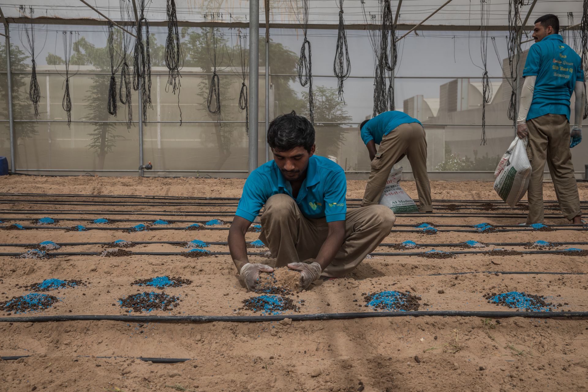 The Limits of the UAE’s Push for Food Security