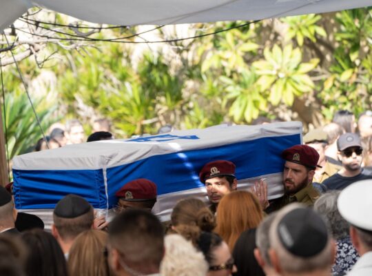 Dead Soldiers Can Make Babies, But Should They?