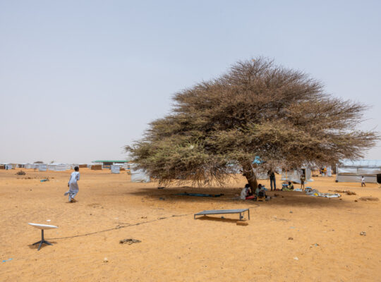 Sudanese People Don’t Have the Luxury of Hating Elon Musk