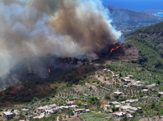 Forest Fires and Accusations in the New Syria