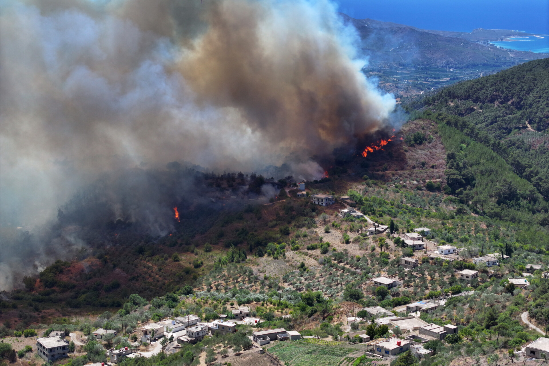 Forest Fires and Accusations in the New Syria