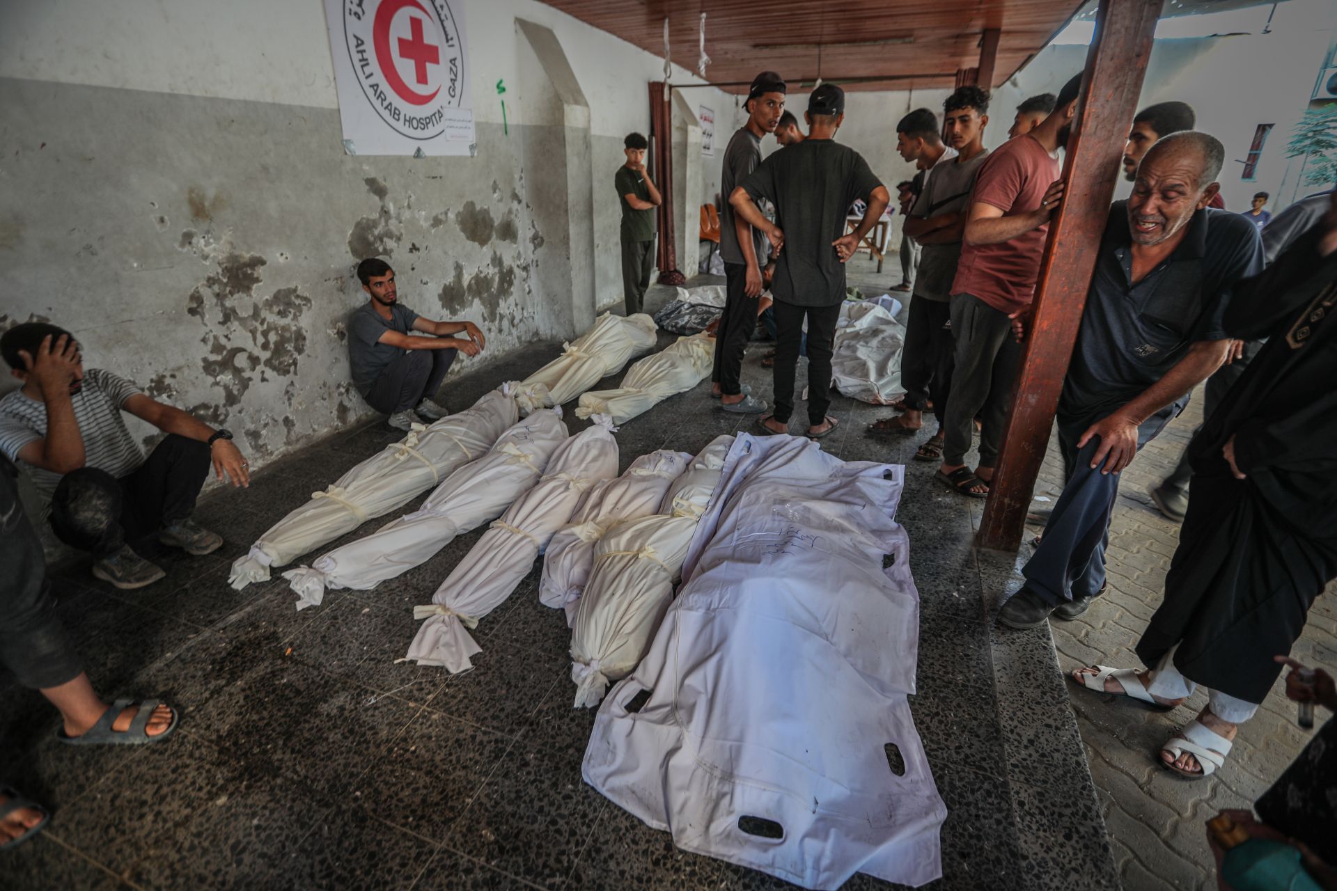 I Believed I Had Seen the Worst Humanity Could Inflict — Until Gaza