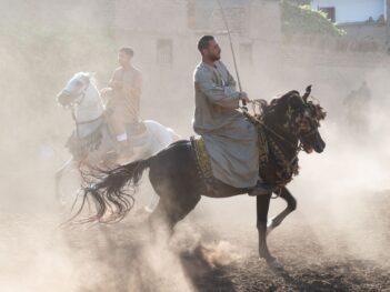 The Battle To Define the Arabian Horse