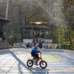 Iran’s Care for Orphans Has Been Transformed by War