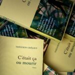 The French Far Right Has Opened Pangram’s Box