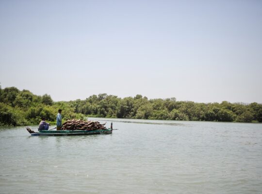 Once a Thriving Ecosystem, Pakistan’s Largest River Delta Is in Peril