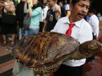 The Politics of Wildlife Protection