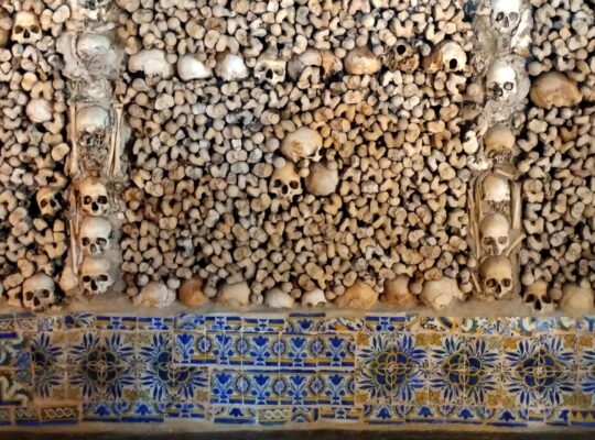 Dictators and Dry Bones