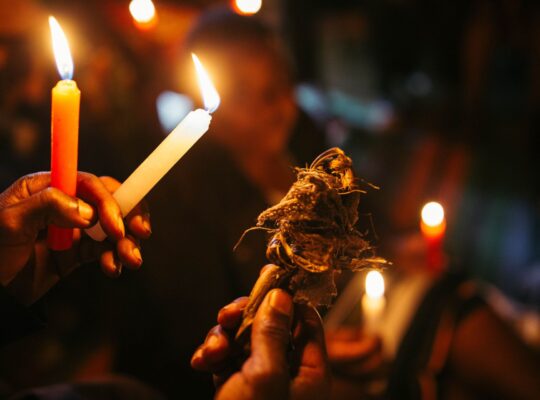 Kenya’s Traditional Healers Work To Preserve the Rainforest