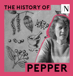 Ground Control: How Pepper Spiced Up World Trade – With Lydia Wilson