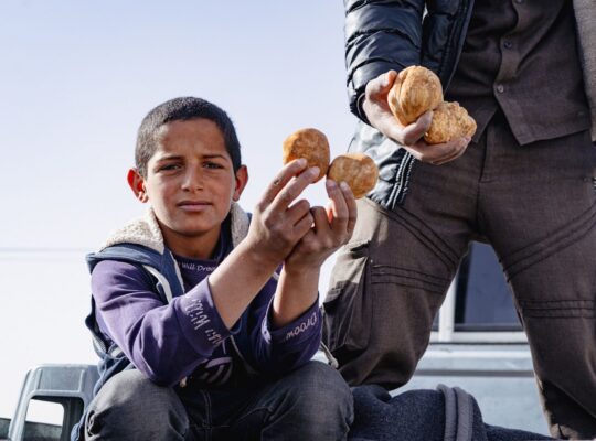 The Dangerous Quest of Syria’s Desert Truffle Hunters