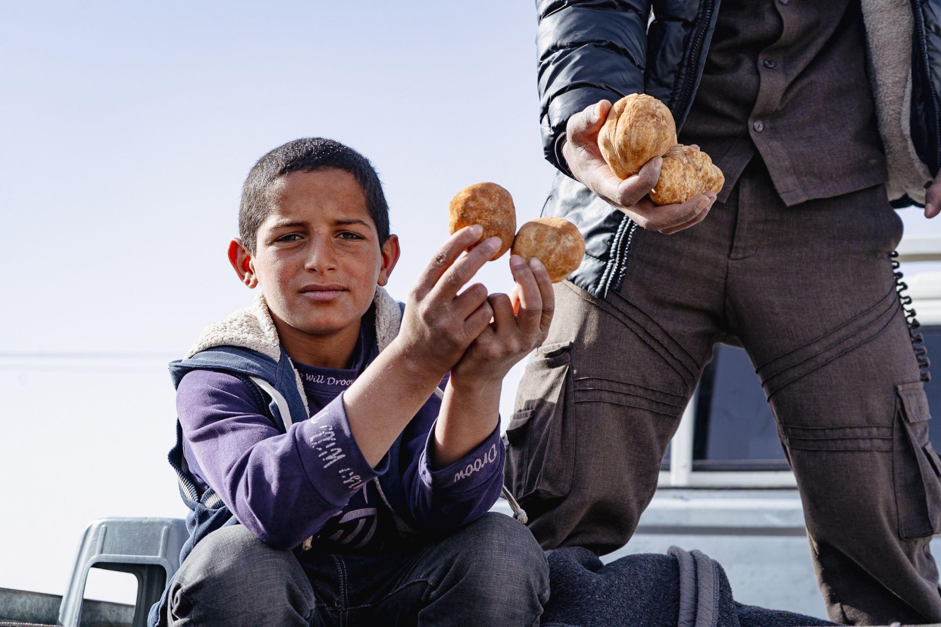 The Dangerous Quest of Syria’s Desert Truffle Hunters
