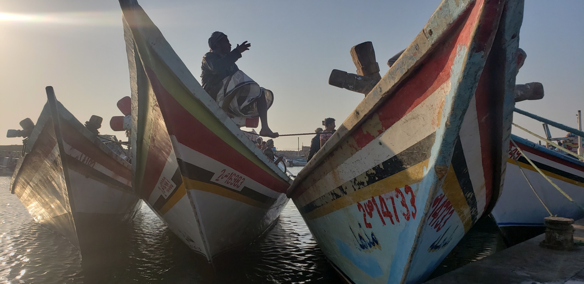 How War Destroyed Yemen’s Once-Thriving Fishing Industry