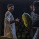 In Dubai, Trade Continues on the Front Lines of the Iran War